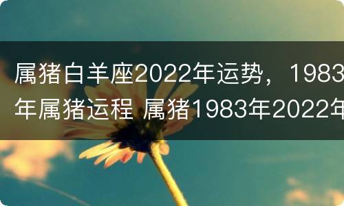 属猪白羊座2022年运势，1983年属猪运程 属猪1983年2022年运势及运程