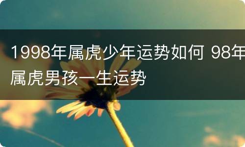 1998年属虎少年运势如何 98年属虎男孩一生运势