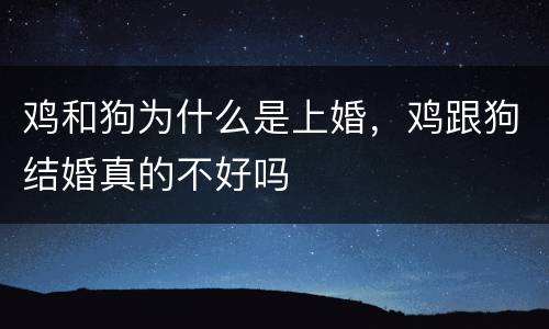 鸡和狗为什么是上婚，鸡跟狗结婚真的不好吗