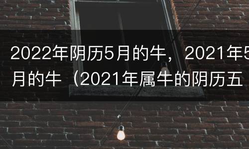 2022年阴历5月的牛，2021年5月的牛（2021年属牛的阴历五月）