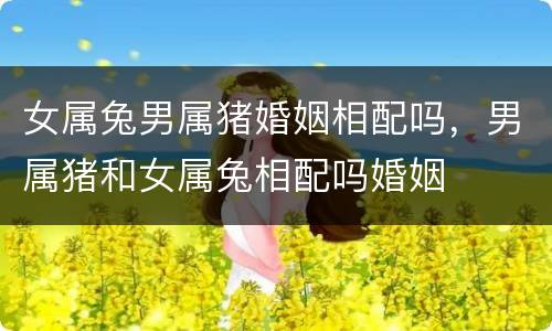 女属兔男属猪婚姻相配吗，男属猪和女属兔相配吗婚姻