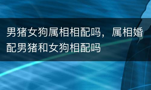 男猪女狗属相相配吗，属相婚配男猪和女狗相配吗