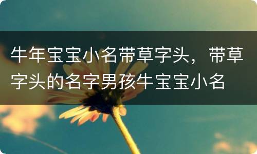 牛年宝宝小名带草字头，带草字头的名字男孩牛宝宝小名
