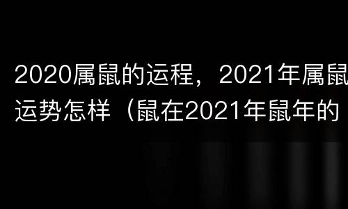 2020属鼠的运程，2021年属鼠运势怎样（鼠在2021年鼠年的运势）