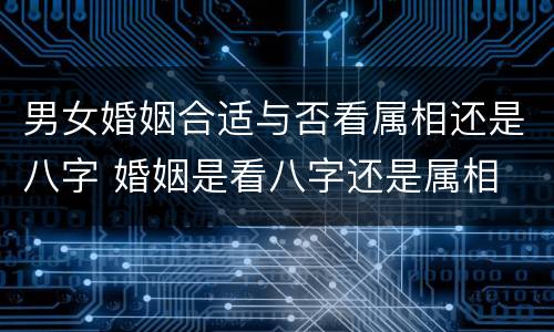 男女婚姻合适与否看属相还是八字 婚姻是看八字还是属相