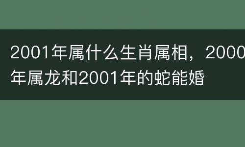 2001年属什么生肖属相，2000年属龙和2001年的蛇能婚
