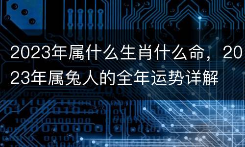 2023年属什么生肖什么命，2023年属兔人的全年运势详解