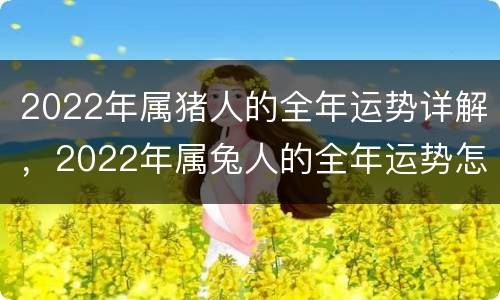2022年属猪人的全年运势详解，2022年属兔人的全年运势怎么样