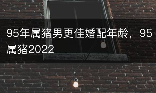 95年属猪男更佳婚配年龄，95属猪2022