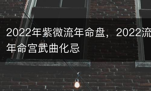 2022年紫微流年命盘，2022流年命宫武曲化忌