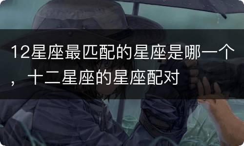 12星座最匹配的星座是哪一个，十二星座的星座配对