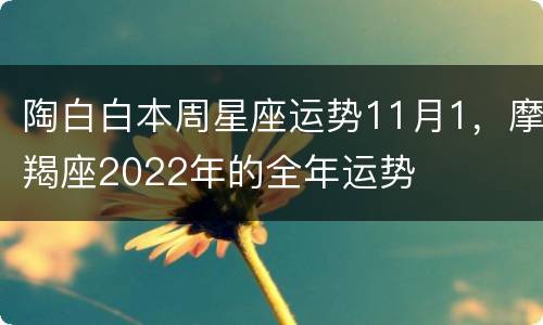 陶白白本周星座运势11月1，摩羯座2022年的全年运势