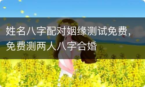 姓名八字配对姻缘测试免费，免费测两人八字合婚