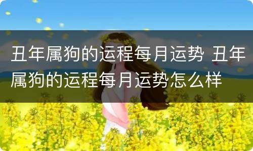 丑年属狗的运程每月运势 丑年属狗的运程每月运势怎么样