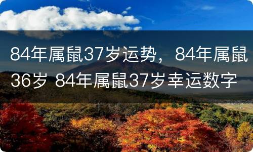 84年属鼠37岁运势，84年属鼠36岁 84年属鼠37岁幸运数字