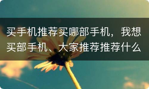 买手机推荐买哪部手机，我想买部手机、大家推荐推荐什么手机比较好点、一定