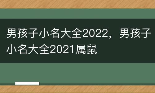 男孩子小名大全2022，男孩子小名大全2021属鼠
