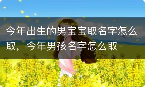 今年出生的男宝宝取名字怎么取，今年男孩名字怎么取