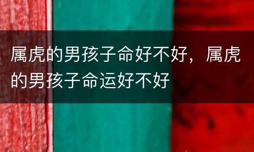 属虎的男孩子命好不好，属虎的男孩子命运好不好
