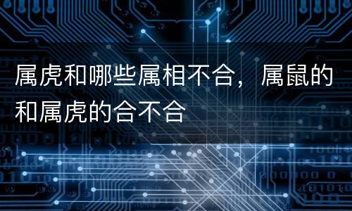 属虎和哪些属相不合，属鼠的和属虎的合不合