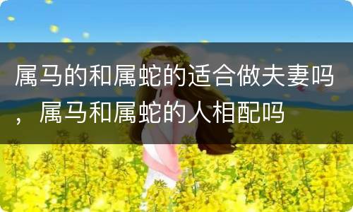 属马的和属蛇的适合做夫妻吗，属马和属蛇的人相配吗