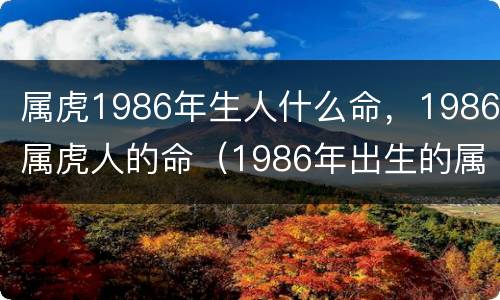 属虎1986年生人什么命，1986属虎人的命（1986年出生的属虎的人是什么命）
