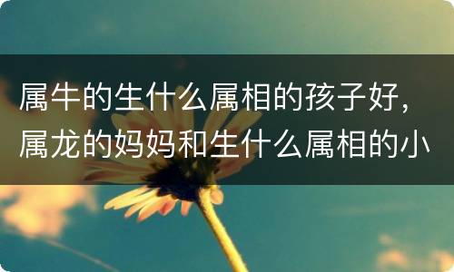 属牛的生什么属相的孩子好，属龙的妈妈和生什么属相的小孩最合十