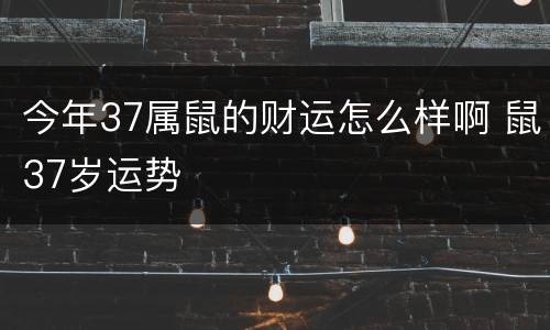 今年37属鼠的财运怎么样啊 鼠37岁运势