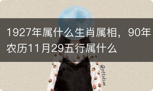 1927年属什么生肖属相，90年农历11月29五行属什么