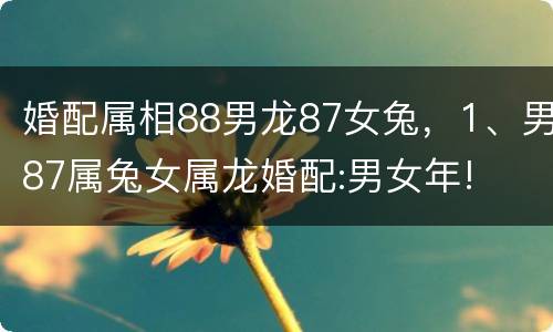 婚配属相88男龙87女兔，1、男87属兔女属龙婚配:男女年!