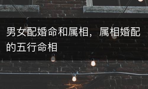 男女配婚命和属相，属相婚配的五行命相