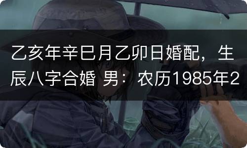 乙亥年辛巳月乙卯日婚配，生辰八字合婚 男：农历1985年2月初一中午1