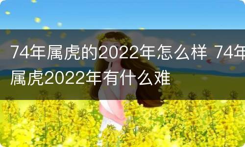 74年属虎的2022年怎么样 74年属虎2022年有什么难