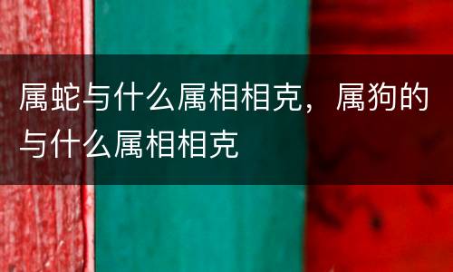 属蛇与什么属相相克，属狗的与什么属相相克