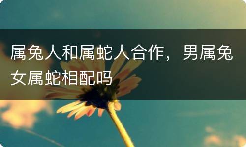 属兔人和属蛇人合作，男属兔女属蛇相配吗