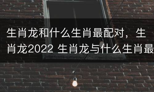 生肖龙和什么生肖最配对，生肖龙2022 生肖龙与什么生肖最配