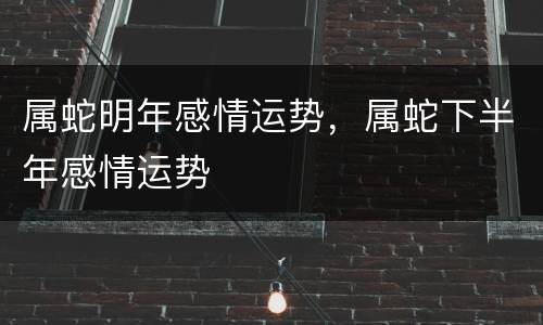 属蛇明年感情运势，属蛇下半年感情运势