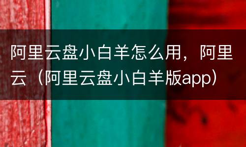 阿里云盘小白羊怎么用，阿里云（阿里云盘小白羊版app）