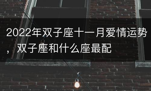 2022年双子座十一月爱情运势，双子座和什么座最配
