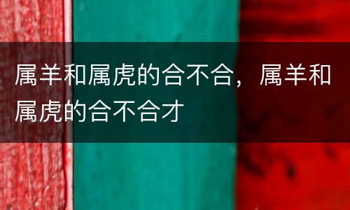 属羊和属虎的合不合，属羊和属虎的合不合才