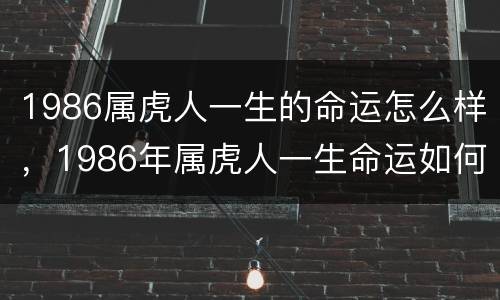 1986属虎人一生的命运怎么样，1986年属虎人一生命运如何