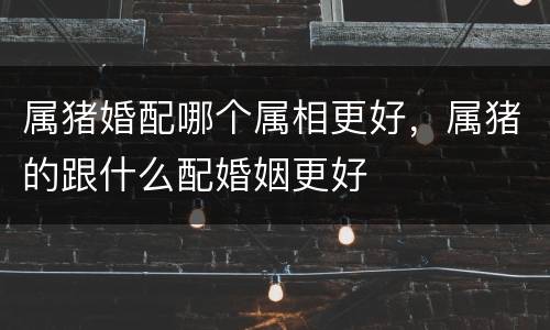 属猪婚配哪个属相更好，属猪的跟什么配婚姻更好