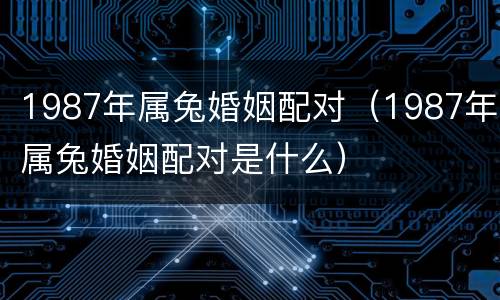 1987年属兔婚姻配对（1987年属兔婚姻配对是什么）