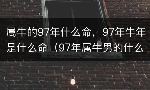 属牛的97年什么命，97年牛年是什么命（97年属牛男的什么命?）