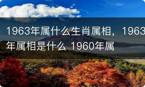 1963年属什么生肖属相，1963年属相是什么 1960年属