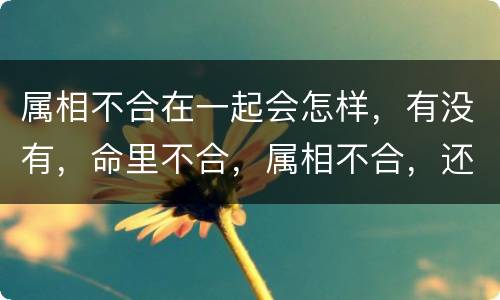 属相不合在一起会怎样，有没有，命里不合，属相不合，还在一起的人？顺利吗