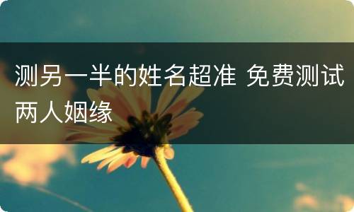 测另一半的姓名超准 免费测试两人姻缘