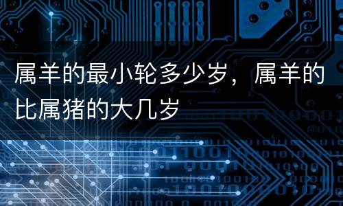 属羊的最小轮多少岁，属羊的比属猪的大几岁