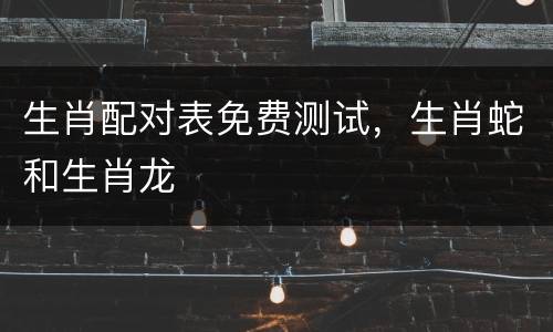 生肖配对表免费测试，生肖蛇和生肖龙