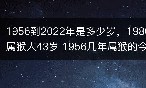 1956到2022年是多少岁，1980属猴人43岁 1956几年属猴的今年多大